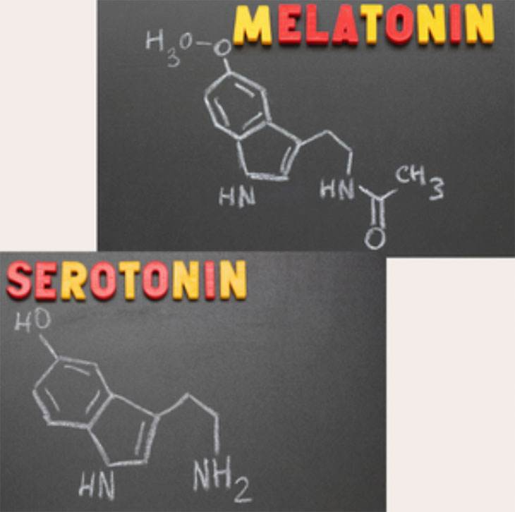 Chemische Symbole für Melatonin und Serotonin